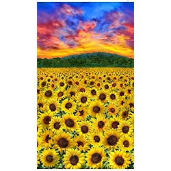 Multi - Sunflower Sunset Panel